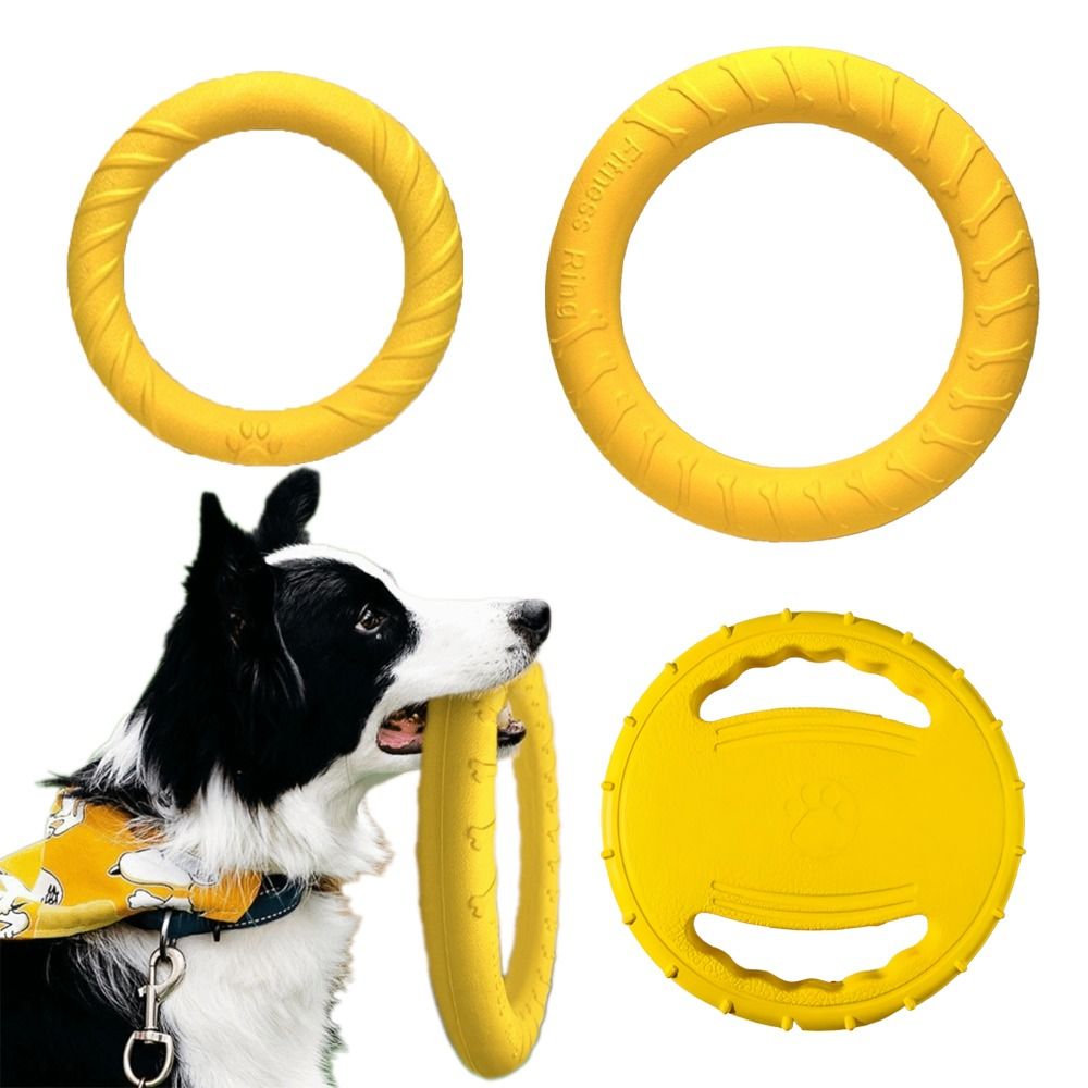 Flying Disc Dog Training Toy - Puppy Outdoor Play Toy Set EVA