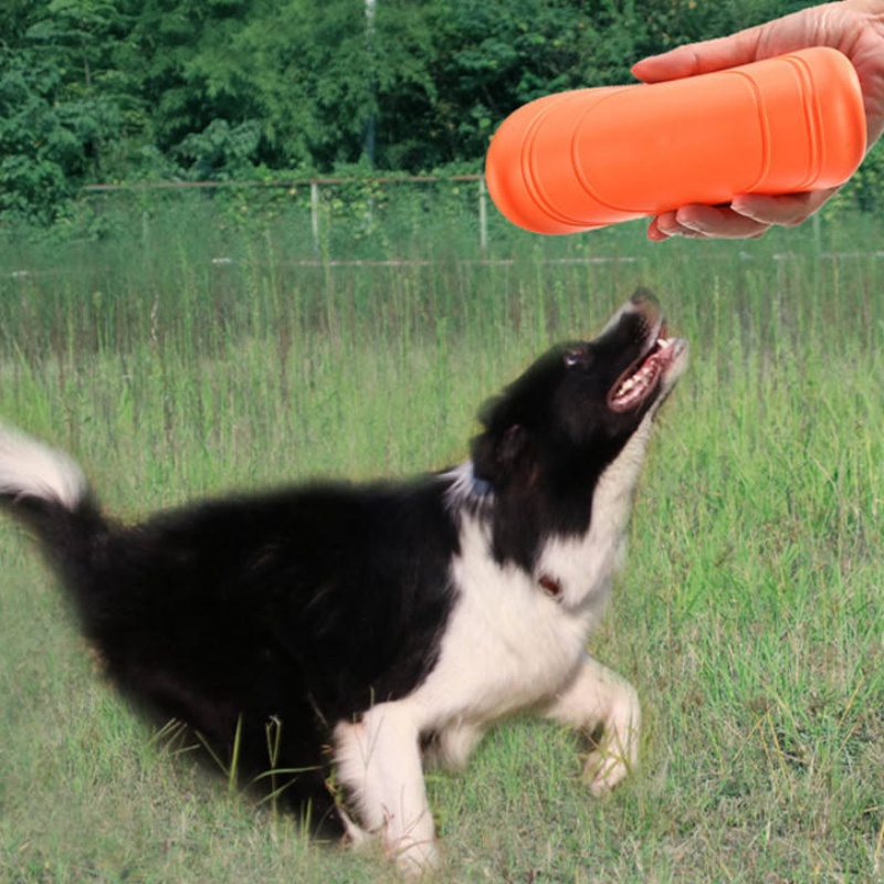 Chewable Soft Rubber Flying Di - Flying Disc Dog Training Toy recension och pris