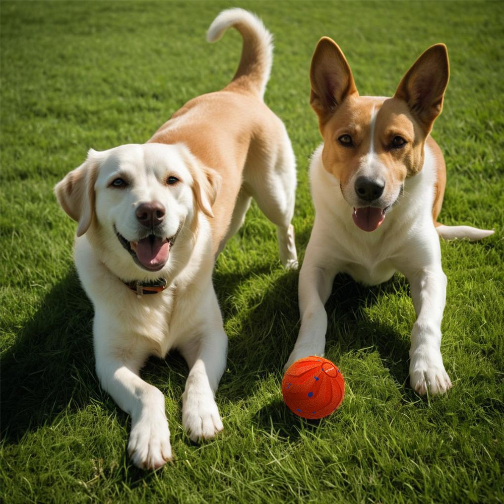 Bite Resistant Smart Dog Ball  - Automatic Moving Dog Ball recension och pris