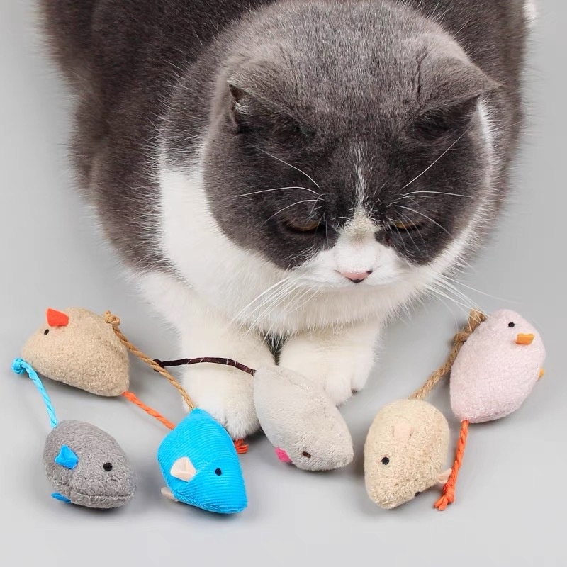 Portable Soft Interactive Plus - Catnip Interactive Plush Mouse recension och pris