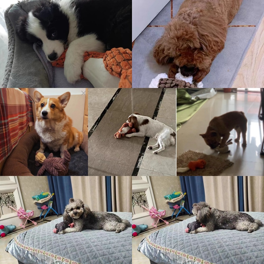 Animals Shape Squeaky Toys Plu - Interactive Squeaky Plush Dog Toy recension och pris