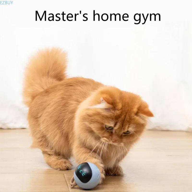 Interactive Cat Ball Toy USB R - Automatic Moving Dog Ball recension och pris