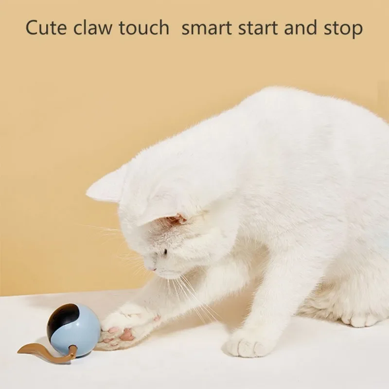 Interactive Cat Ball Toy USB R - Automatic Moving Dog Ball recension och pris