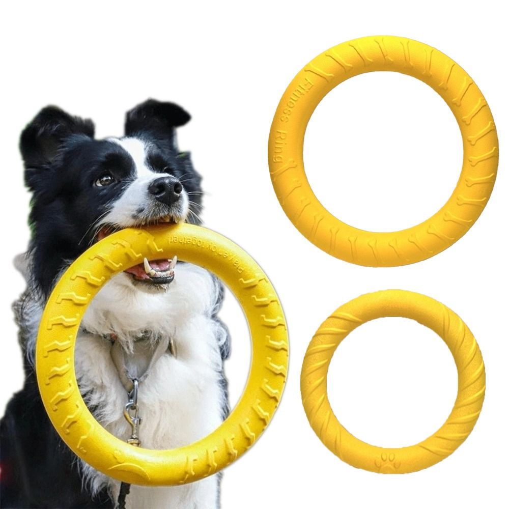 Puppy Outdoor Play Toy Set EVA - Flying Disc Dog Training Toy recension och pris