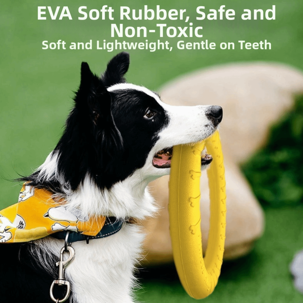 Puppy Outdoor Play Toy Set EVA - Flying Disc Dog Training Toy recension och pris