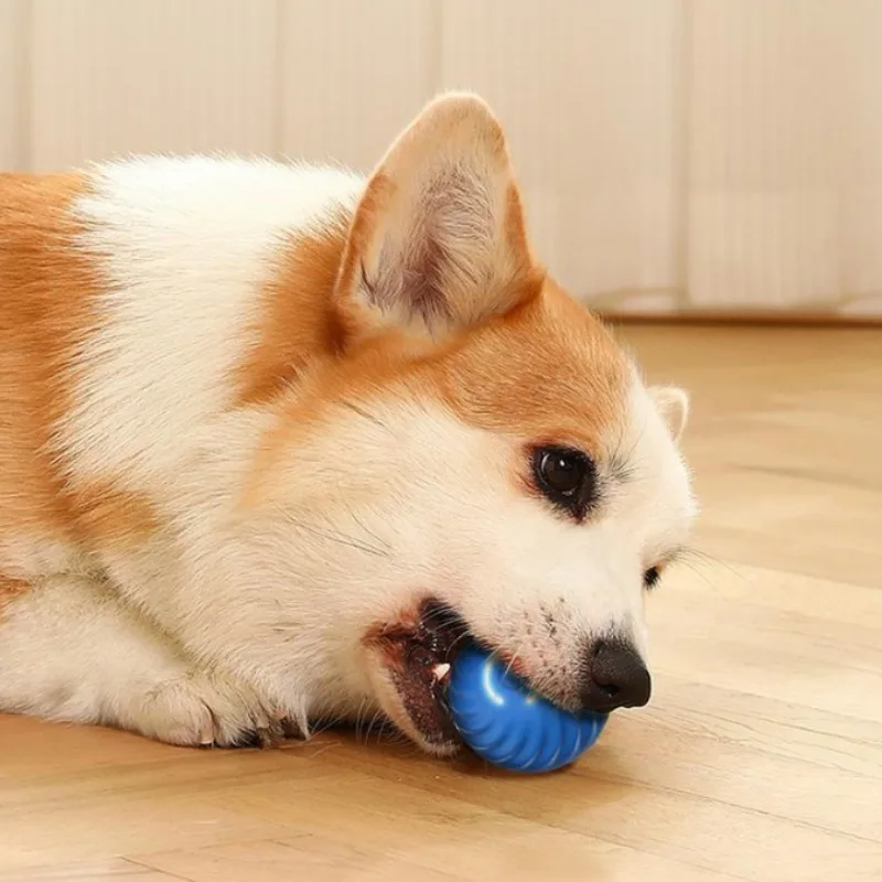 SS Pet Toy Ball Automatic Movi - Automatic Moving Dog Ball recension och pris