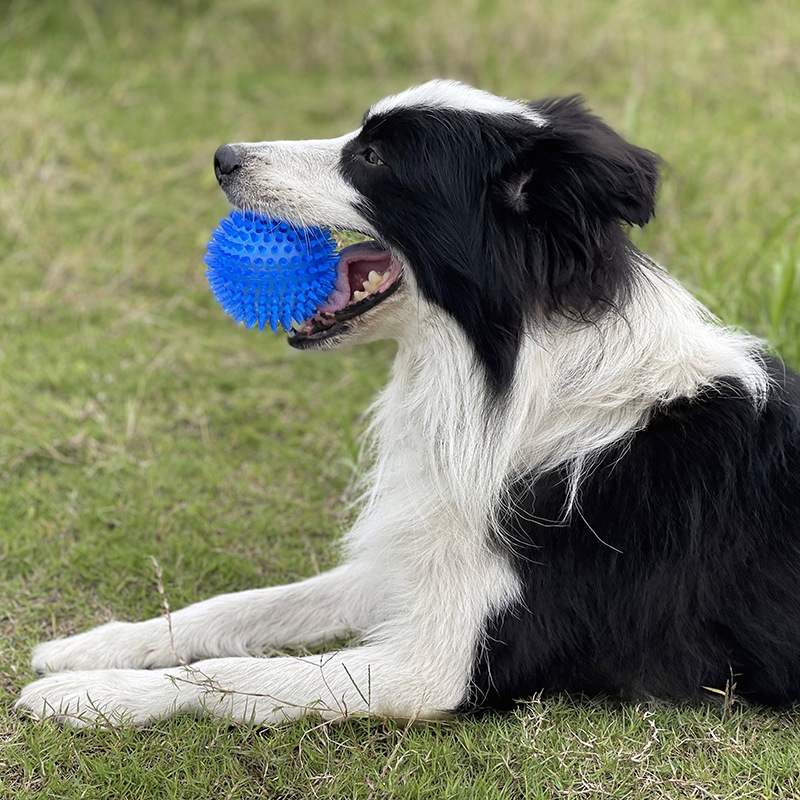 Dog Toy TPR Squeaky Thorn Ball - Interactive Squeaky Plush Dog Toy recension och pris