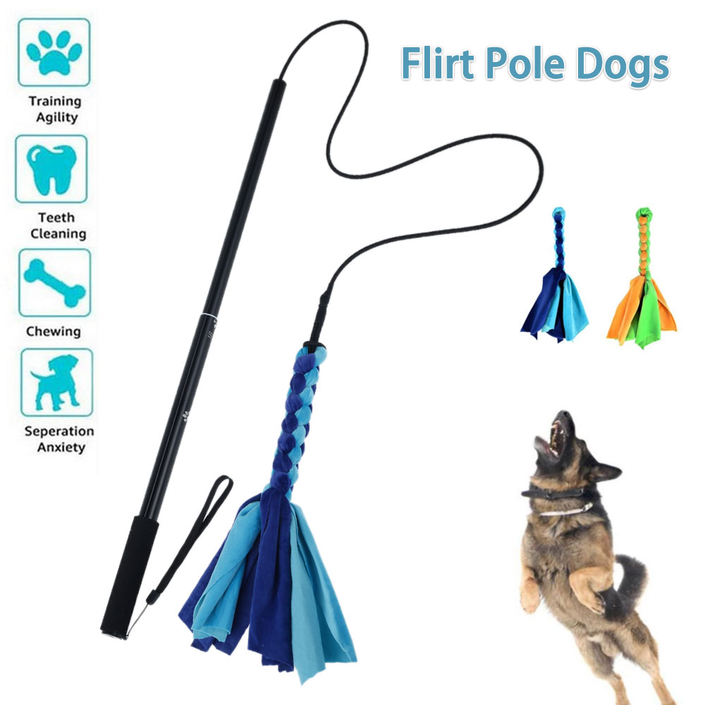Dogs Flirt Lure Pole Stick Toy - Interactive Squeaky Plush Dog Toy recension och pris