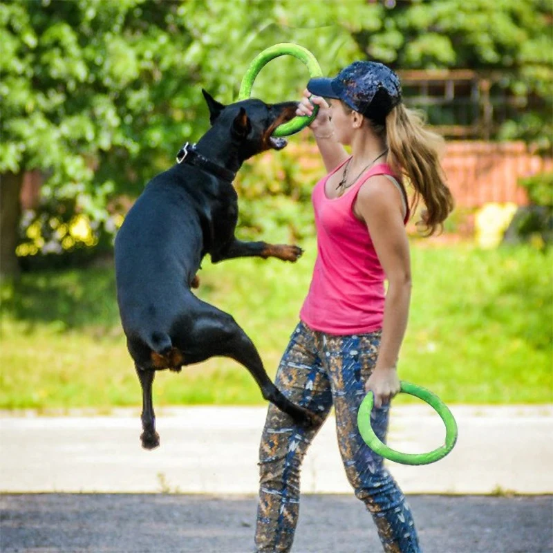 Dog Toys Pet Flying Discs EVA  - Interactive Squeaky Plush Dog Toy recension och pris