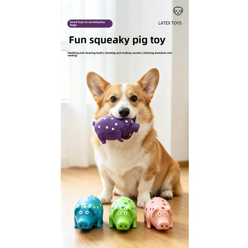 Waterproof Dog Frisbee Toy Sil - Flying Disc Dog Training Toy recension och pris