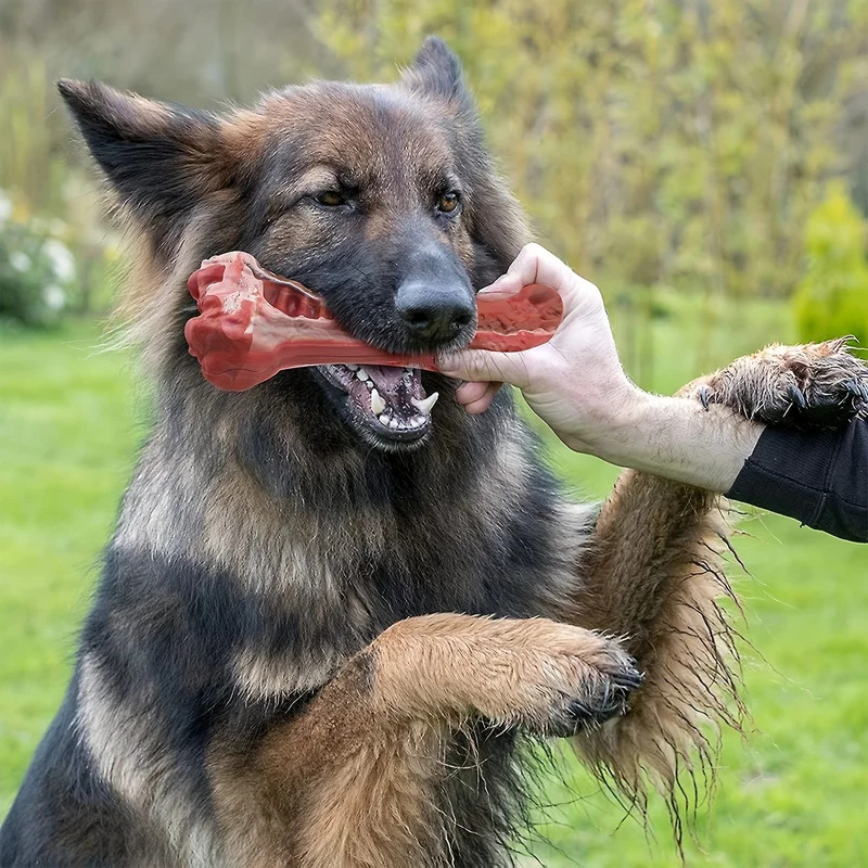 Super Tough Indestructible Dog - Teeth Cleaning Dog Chew Bone recension och pris
