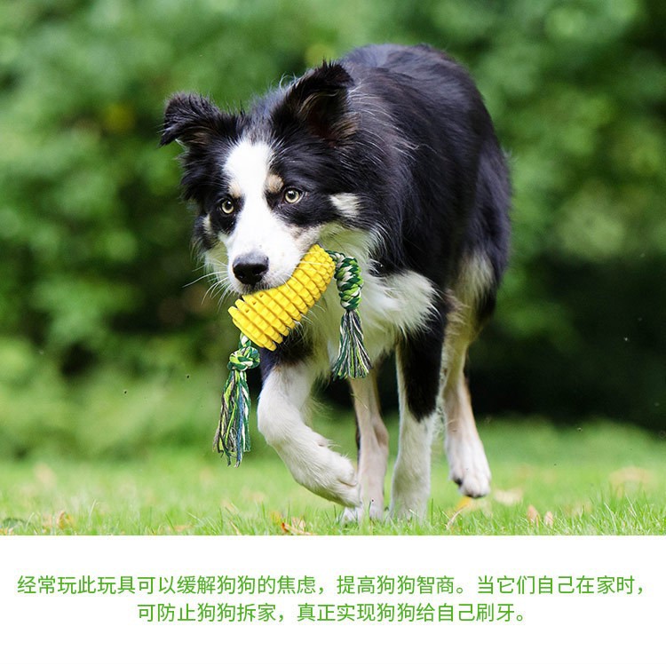 Pet Product Dog Toy Chew Stick - Teeth Cleaning Dog Chew Bone recension och pris