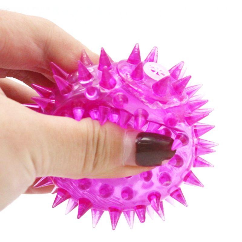 5 Pcs Light-up LED Ball Dog an - Interactive Squeaky Plush Dog Toy recension och pris