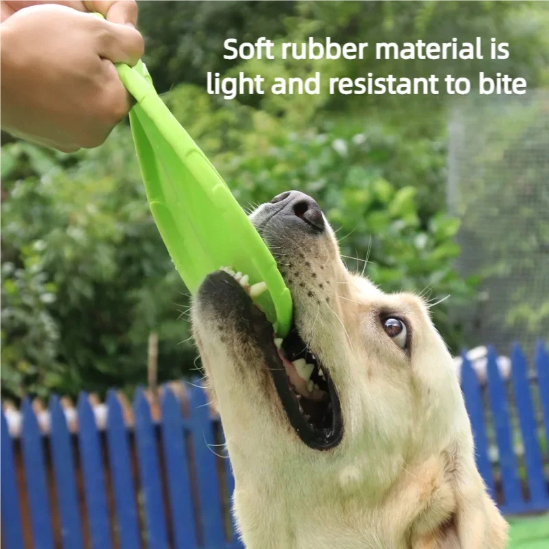 Chew Resistant Silicone Flying - Flying Disc Dog Training Toy recension och pris