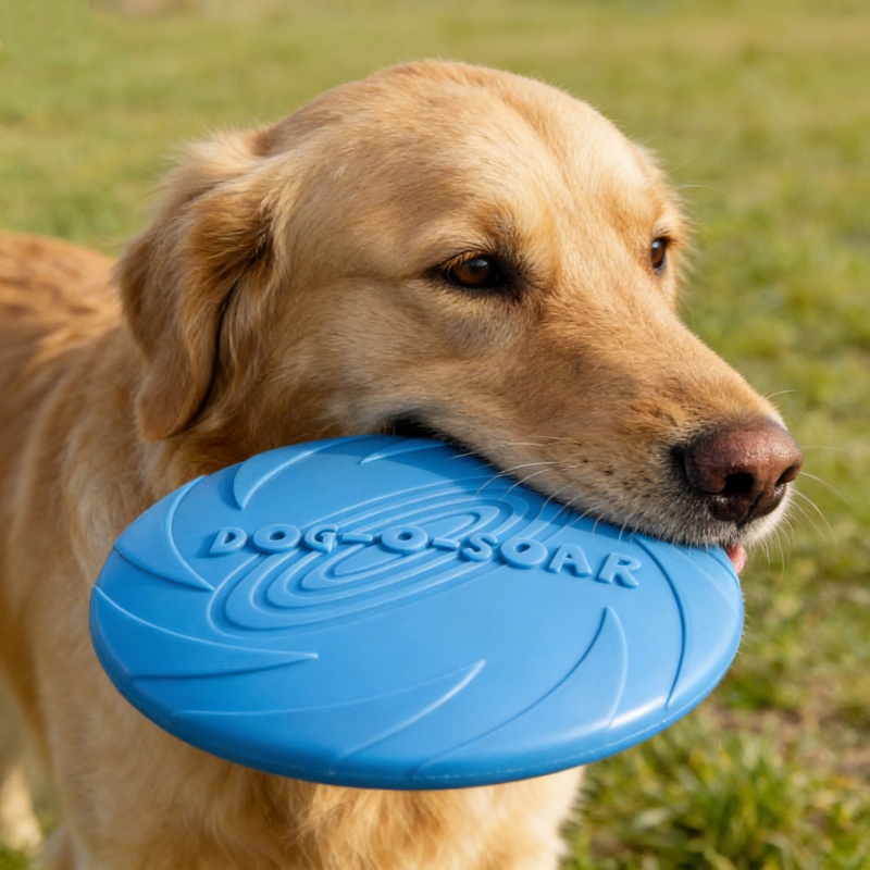 Chew Resistant Silicone Flying - Flying Disc Dog Training Toy recension och pris