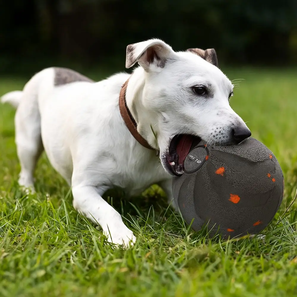 Bite Resistant Smart Dog Toy B - Automatic Moving Dog Ball recension och pris