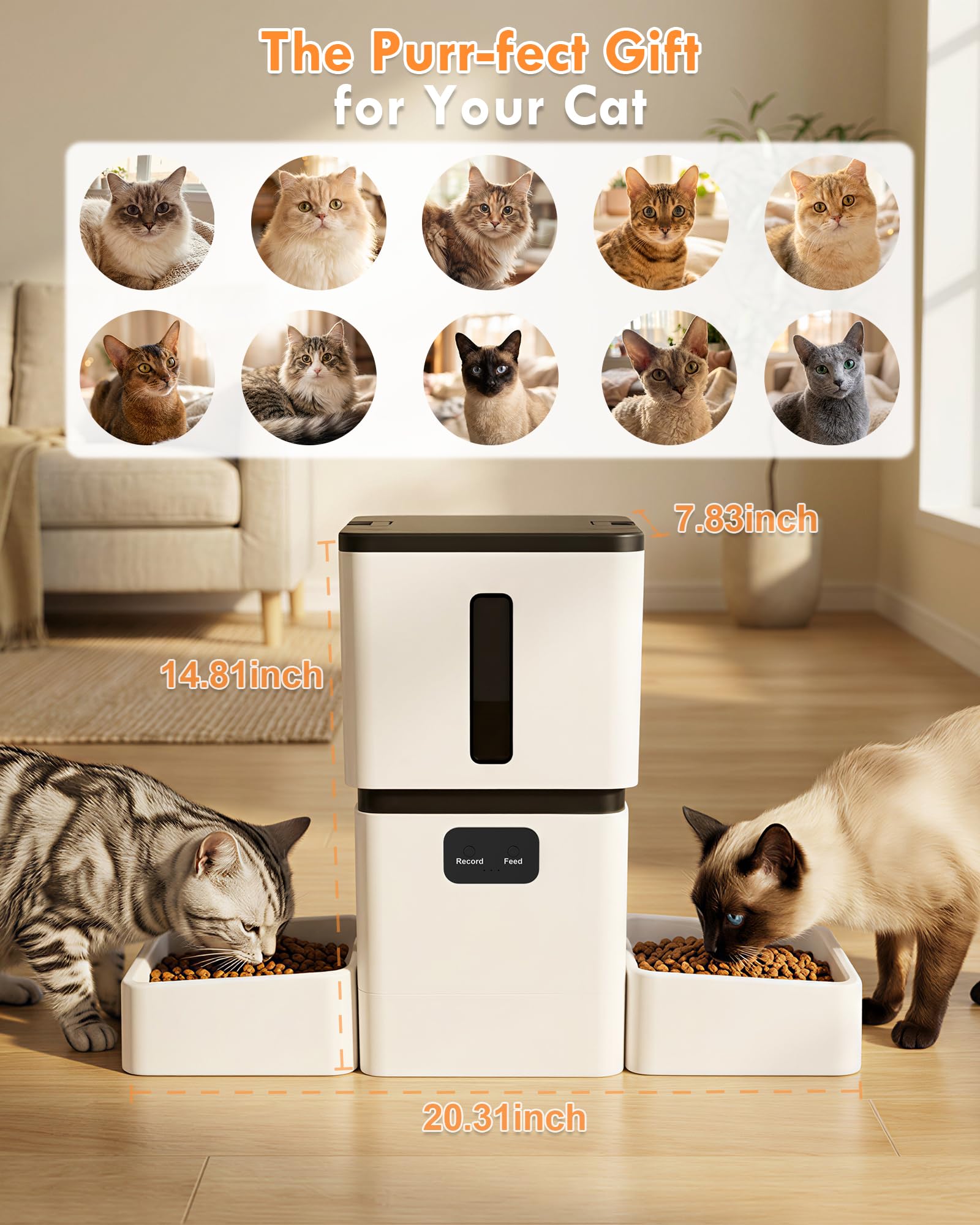 5GHz WiFi 8L Smart Automatic P - Pet Feeders recension och pris