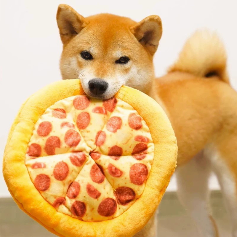 Plush Pizza Shaped Dog Toy Int - Interactive Squeaky Plush Dog Toy recension och pris