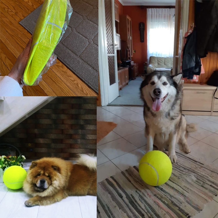 7/8/9.5Inch Dog Tennis Ball Gi - Interactive Squeaky Plush Dog Toy recension och pris